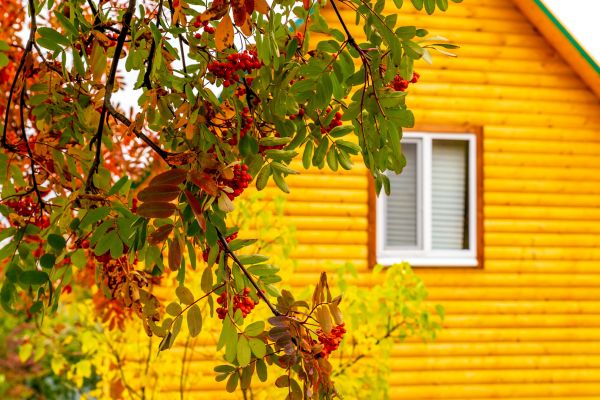 Cost of Garden Window Replacement in Dunnellon